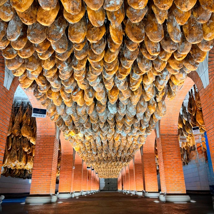 bodeja-cinco-jotas-jamon-iberico-bellota-iberu