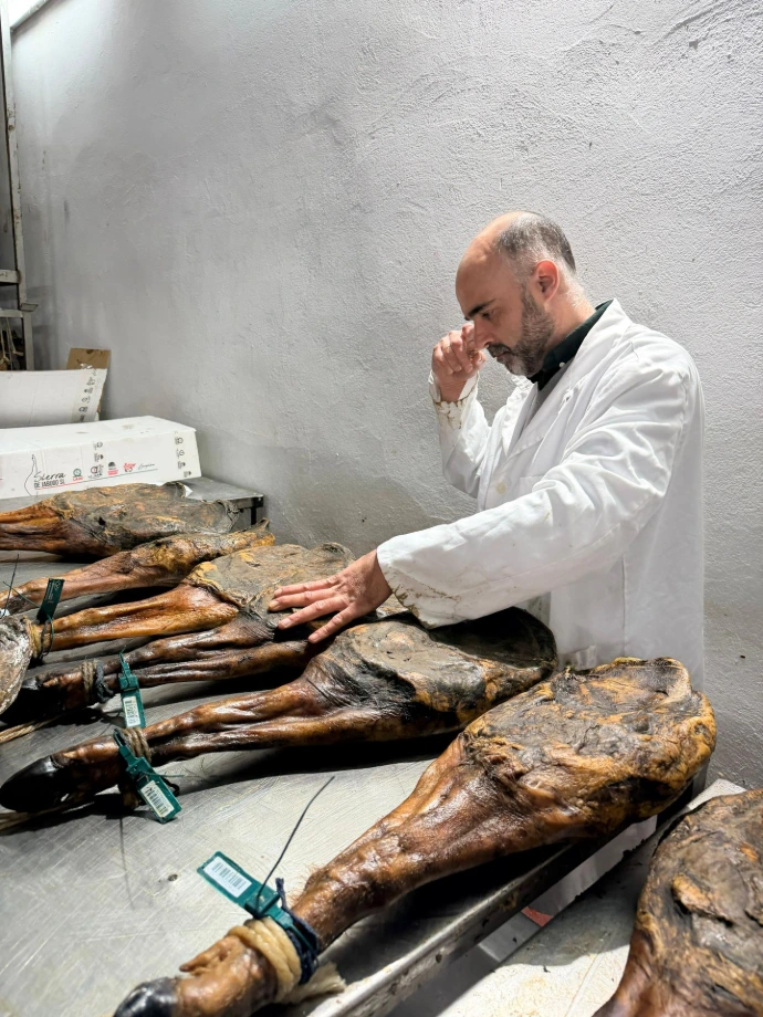 Selección y calado de jamones ibéricos